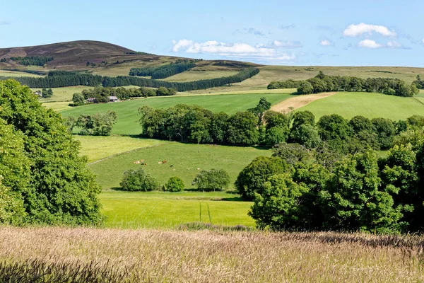 Άποψη Της Υπαίθρου Από Κάστρο Craigievar Aberdeenshire Σκωτία Highlands Ηνωμένο — Φωτογραφία Αρχείου