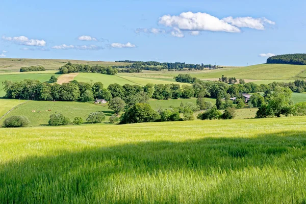 Över Landskapet Från Craigievar Slott Aberdeenshire Skottland Highlands Storbritannien Juli — Stockfoto