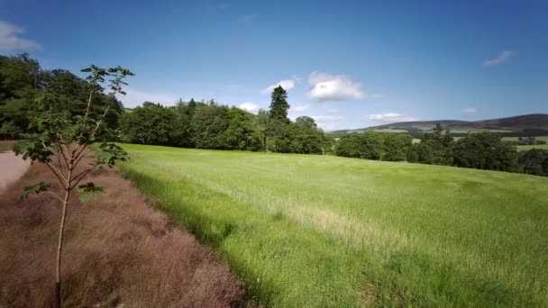 Pohled Krajinu Areálu Hradu Craigievar Aberdeenshire Skotsko Vysočina Velká Británie — Stock video