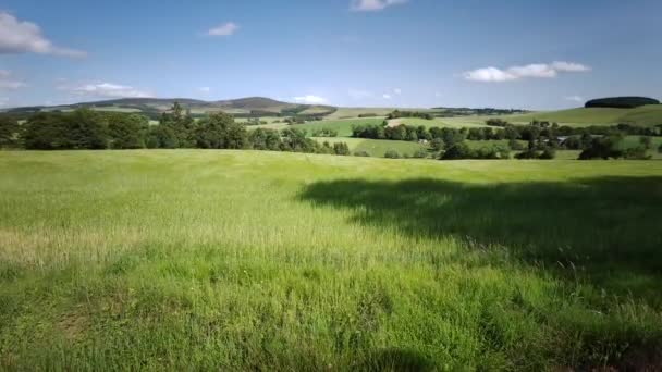 Vista Campo Partir Castelo Craigievar Aberdeenshire Escócia Highlands Reino Unido — Vídeo de Stock