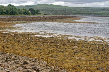 Kuzey Sahili boyunca 500 manzaralı rota - Seyahat Hedefi - Durness, İskoçya