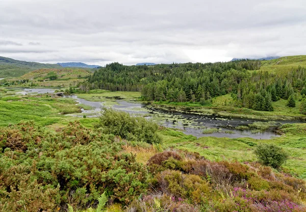 Loch Inchard Loch Côtier Sur Côte Ouest Écosse Royaume Uni — Photo