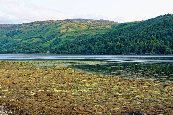 Loch Duich Při Západu Slunce Dornie Západní Vysočina Skotsko Spojené — Stock fotografie