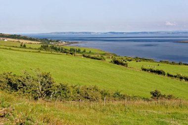 Kıyı manzarası, Arran Adası, İskoçya, Birleşik Krallık