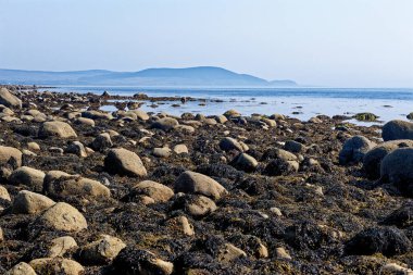 İskoçya 'nın Arran Adası' ndaki Machrie Körfezi 'nde yazın çakıl taşı plajı