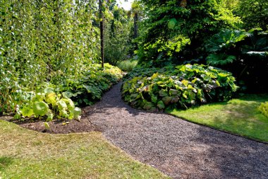 Yazın Culzean Park 'ta. Ayrshire, İskoçya 'daki Culzean Castle and Country Park - 22 Temmuz 2021