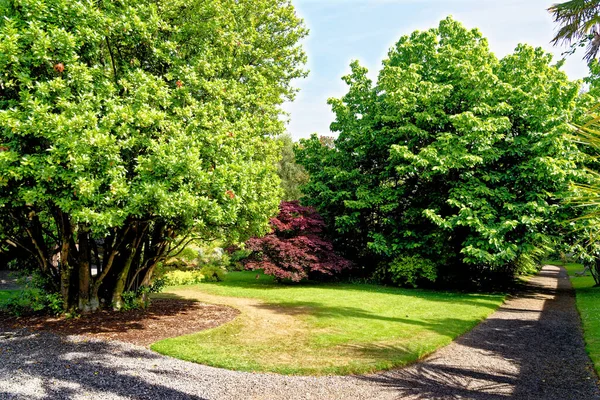 Culzean Park Summertime Culzean Castle Country Park Ayrshire Scotland United — 图库照片