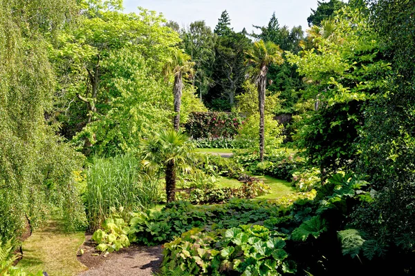 Yazın Culzean Park 'ta. Ayrshire, İskoçya 'daki Culzean Castle and Country Park - 22 Temmuz 2021