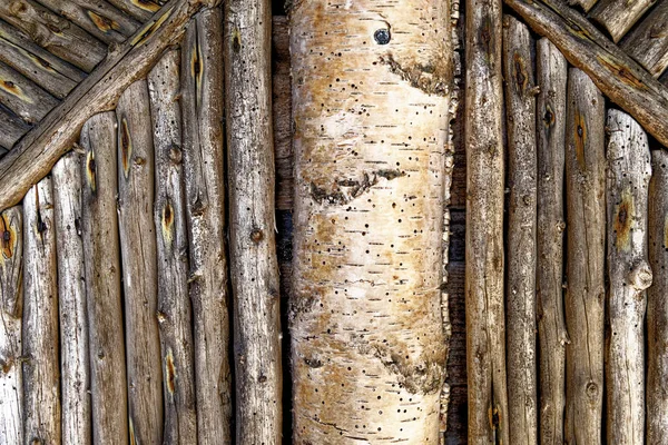 Ağaç Dallarının Dokusu Çeşitli Ağaç Dallarından Yapılmış Duvarları Kapatın Doğa — Stok fotoğraf