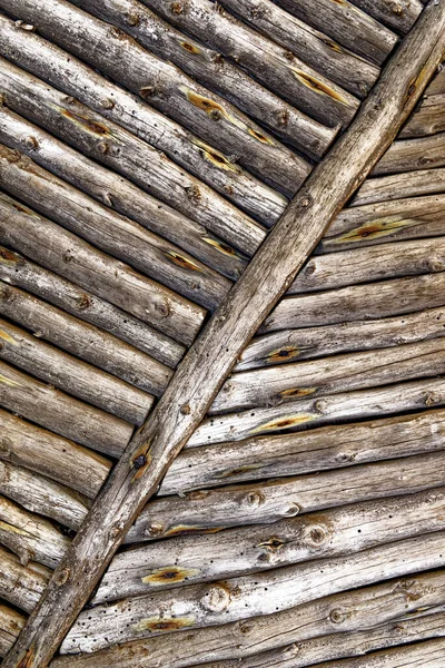 Texture Twigs Trees Close Wall Made Various Tree Branches Concept — Stockfoto