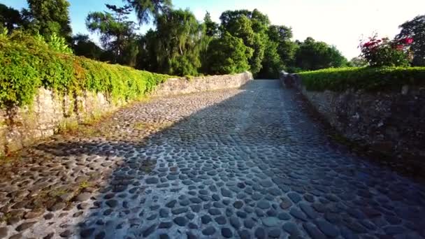 Passeggiata Sul Ponte Medievale Brig Odoon Burns National Heritage Park — Video Stock