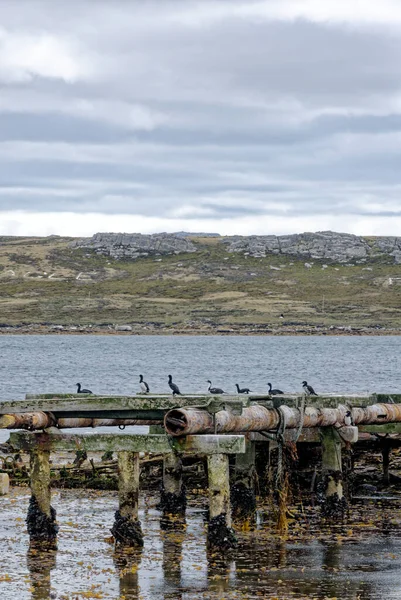 Port Stanley Pohled Starý Přístav Falklandy Února 2014 — Stock fotografie
