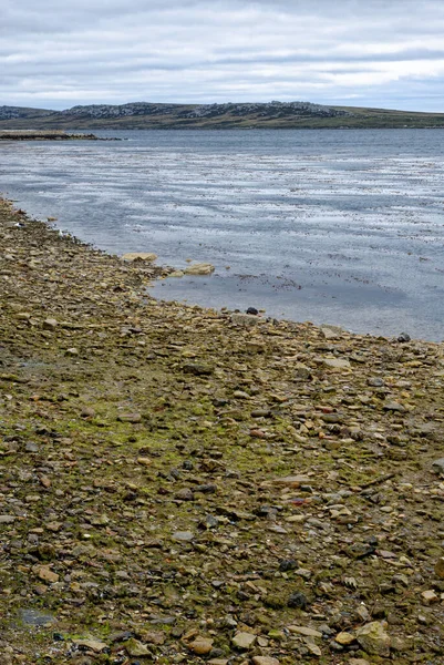 Vackra Empty Beach Port Stanley Falklandsöarna Februari 2014 — Stockfoto