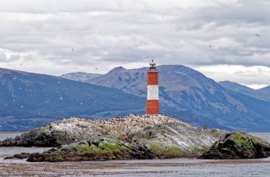 Les Eclaireurs Deniz Feneri - Dünyanın Sonu 'ndaki Deniz Feneri, Ushuaia yakınlarındaki Beagle Channel, Tierra del Fuego, Güney Arjantin