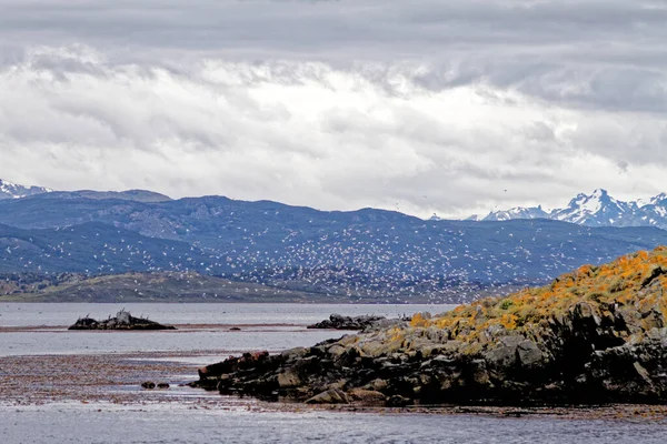 Hory Blízkosti Ushuaia Beagle Channel Tierra Del Fuego Argentina Cestovní — Stock fotografie