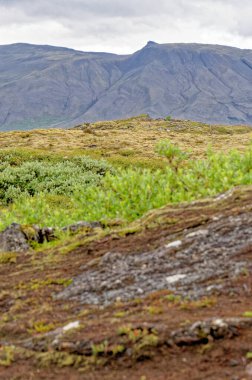 İzlanda - Thingvellir Ulusal Parkı - UNESCO Dünya Mirası Alanı - Kuzey Amerika ve Avrupa plakalı iki tektonik levhanın ayrılması - Altın Çember. 22.07.2012