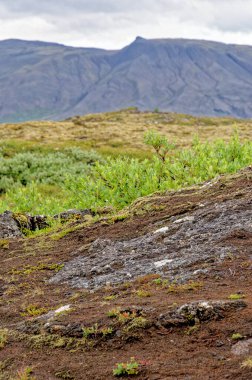 İzlanda - Thingvellir Ulusal Parkı - UNESCO Dünya Mirası Alanı - Kuzey Amerika ve Avrupa plakalı iki tektonik levhanın ayrılması - Altın Çember. 22.07.2012