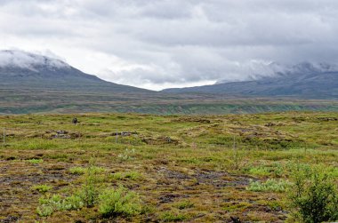 İzlanda - Thingvellir Ulusal Parkı - UNESCO Dünya Mirası Alanı - Kuzey Amerika ve Avrupa plakalı iki tektonik levhanın ayrılması - Altın Çember. 22.07.2012
