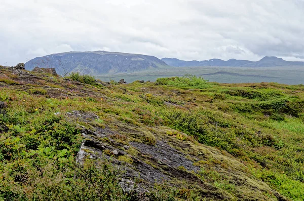 Ισλανδία Εθνικό Πάρκο Thingvellir Μνημείο Παγκόσμιας Κληρονομιάς Unesco Διαχωρισμός Δύο — Φωτογραφία Αρχείου