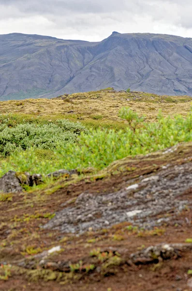 Island Thingvellir National Park Unesco Världsarvslista Separationen Två Tektoniska Plattor — Stockfoto