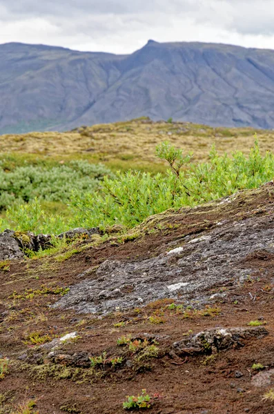 Islândia Parque Nacional Thingvellir Patrimônio Mundial Unesco Separação Duas Placas — Fotografia de Stock