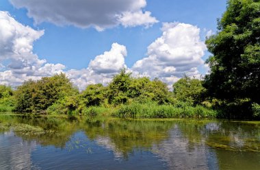 River Kennet ve Avon Kanalı Reading, Berkshire, Birleşik Krallık