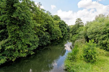 River Kennet ve Avon Kanalı Reading, Berkshire, Birleşik Krallık