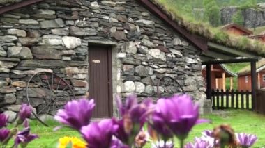 Güzel Flamsdalen Vadisi Flamselvi Nehri ve Flam - geleneksel evler - Norveç 'in güneybatısındaki fiyortlarıyla bilinen bir köyde. Flam, Norveç. 14 Temmuz 2012