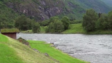 Norveç 'te Sognefjord fiyordunun aşağısında, Bergen ve Flm arasında bir manzara. Flam, Sognefjorden, Batı Fiyortları, Norveç, İskandinavya, Avrupa