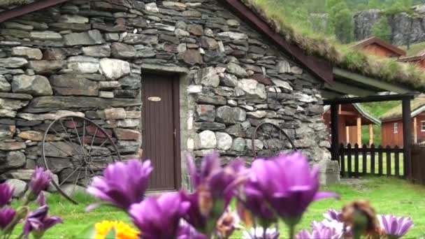美しいフラムザレン渓谷フラムセルヴィ川とフラム 伝統的な家屋 そのフィヨルドで知られる地域で ノルウェー南西部の村 ノルウェーのフラム 2012年7月14日 — ストック動画