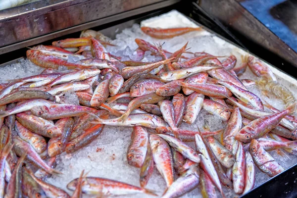 魚市場でストリップ赤ボラ イタリア ボローニャ メルカト メッツォ — ストック写真
