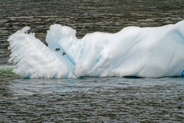 Antarktika - Okyanusta sürüklenen Tablo Olmayan Buzdağı - Bulutlu bir günde Antarktika. Küresel sıcaklık