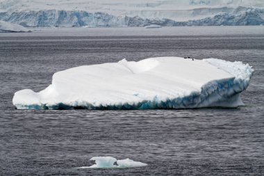 Antarktika - Okyanusta sürüklenen Tablo Olmayan Buzdağı - Bulutlu bir günde Antarktika. Küresel sıcaklık