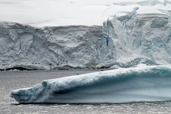 Antarktida Non Tabular Iceberg Drifting Ocean Antarktida Cloudy Day Globální — Stock fotografie