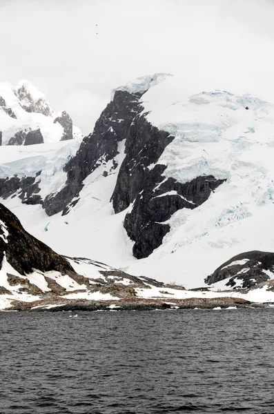 南極大陸 南極氷層 南極半島 パーマー群島 同チャンネルでの海岸線 地球温暖化 — ストック写真