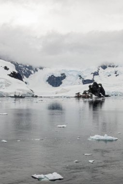 Antarktika - Antarktika Yarımadası - Palmer Takımadası 'nda gezinti. Neumayer Kanalı. Küresel ısınma - Peri masalı manzarası