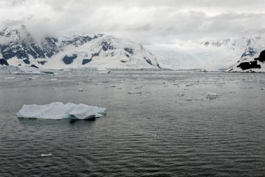 Antarktika - Antarktika Yarımadası - Palmer Takımadası 'nda gezinti. Neumayer Kanalı. Küresel ısınma - Peri masalı manzarası