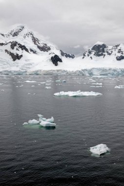 Antarktika - Antarktika Yarımadası - Palmer Takımadası 'nda gezinti. Neumayer Kanalı. Küresel ısınma - Peri masalı manzarası