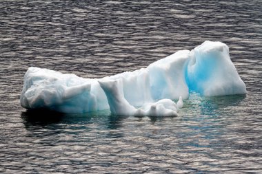 Antarktika - Antarktika Yarımadası. İklim Değişimi - Küresel Isınma. Yüzen Buz Parçaları