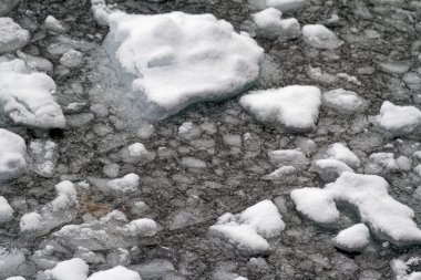 Antarktika - Antarktika Yarımadası. İklim Değişimi - Küresel Isınma. Yüzen Buz Parçaları