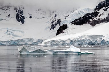 Antarktika - Antarktika Yarımadası - Palmer Takımadası 'nda gezinti. Neumayer Kanalı. Küresel ısınma - Peri masalı manzarası