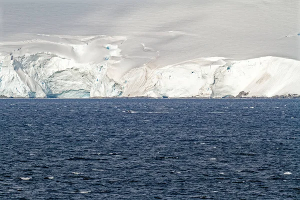 Cruising Antarctica Antarctic Peninsula Palmer Archipelago Neumayer Channel Global Warming — стоковое фото