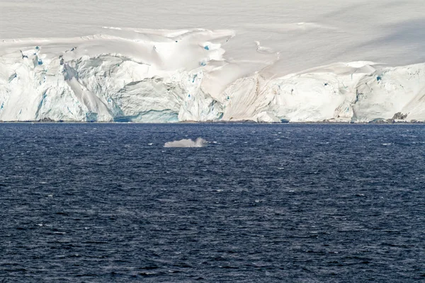 Cruising Antarctica Antarctic Peninsula Palmer Archipelago Neumayer Channel Global Warming — Stock Photo, Image