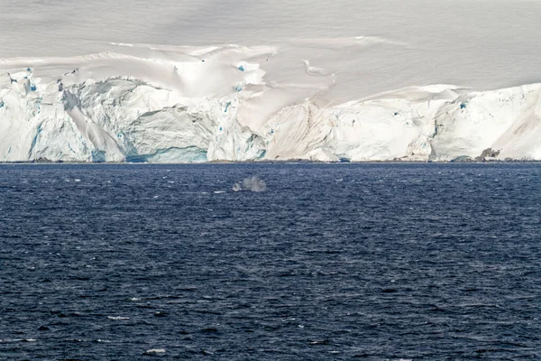 Cruising Antarctica Antarctic Peninsula Palmer Archipelago Neumayer Channel Global Warming — Fotografia de Stock
