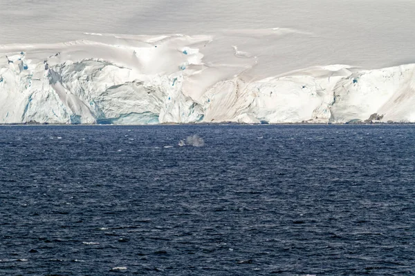 Cruising Antarctica Antarctic Peninsula Palmer Archipelago Neumayer Channel Global Warming — 스톡 사진