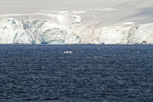 在南极洲巡航南极半岛 帕尔默群岛 诺伊迈尔海峡 全球变暖的童话景观 — 图库照片