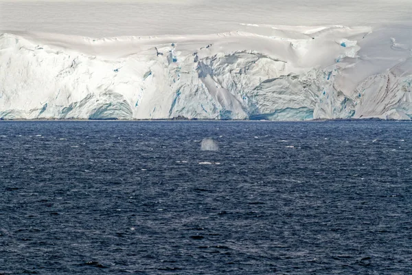 Cruisen Antarctica Antarctisch Schiereiland Palmer Archipel Neumayer Channel Opwarming Van — Stockfoto