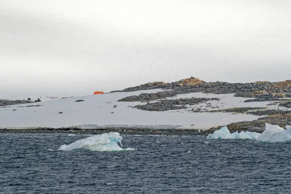 Kryssning Antarktis Antarktiska Halvön Palmer Skärgård Neumayer Channel Global Uppvärmning — Stockfoto