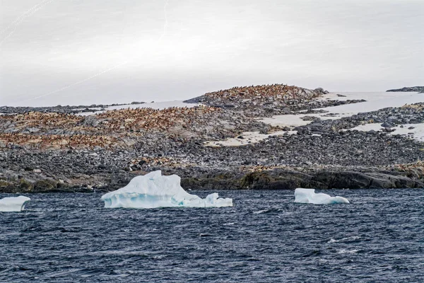 Kreuzfahrt Der Antarktis Antarktische Halbinsel Palmer Archipel Neumayer Kanal Globale — Stockfoto