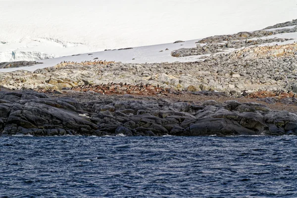 Cruising Antarctica Antarctic Peninsula Palmer Archipelago Neumayer Channel Global Warming — Zdjęcie stockowe